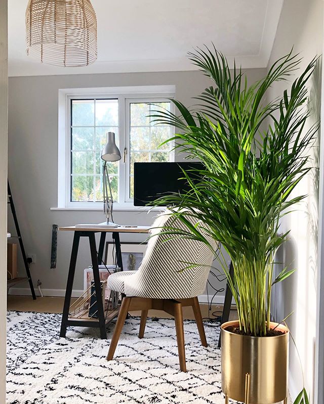 23 images that show how to style indoor plants - Vogue Australia